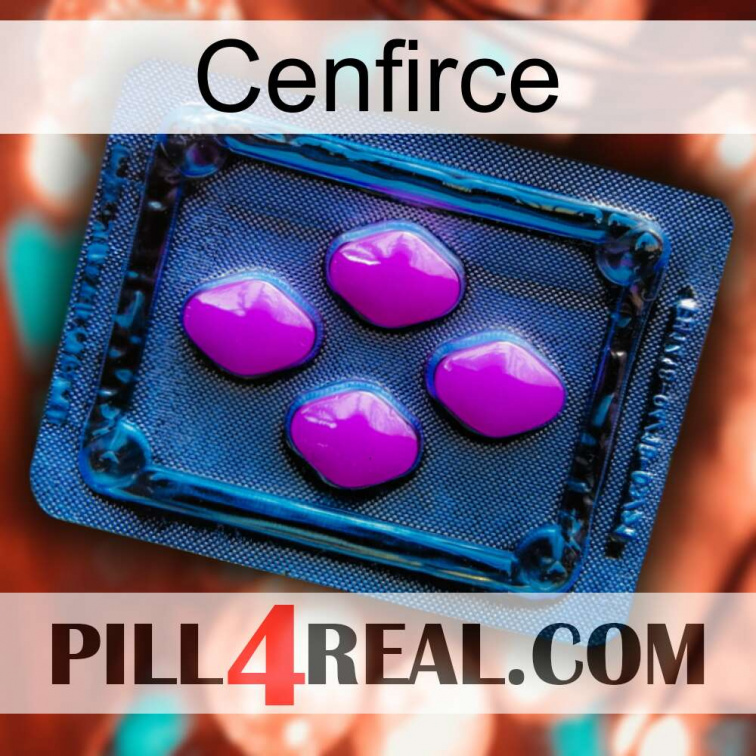 Cenfirce 04